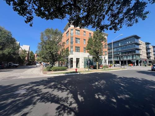 125 N Euclid Unit 305, Oak Park, IL 60301