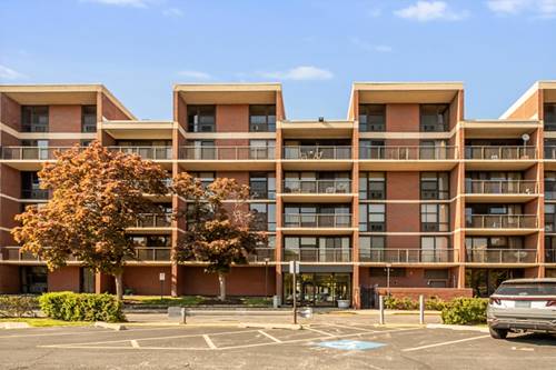 3041 S Michigan Unit 504, Chicago, IL 60616