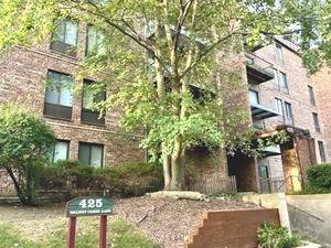 425 Walnut Creek Unit 1508, Lisle, IL 60532