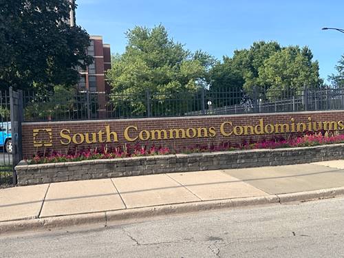 3021 S Michigan Unit 311, Chicago, IL 60616