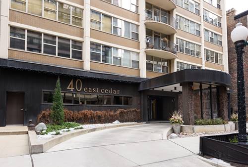 40 E Cedar Unit 9B, Chicago, IL 60611