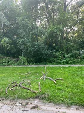 13536 Central Park, Robbins, IL 60472
