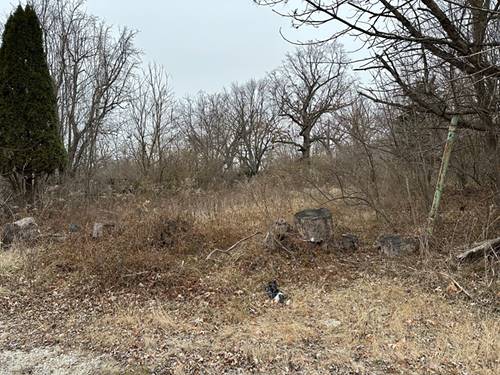 509 Oxford, Lockport, IL 60441