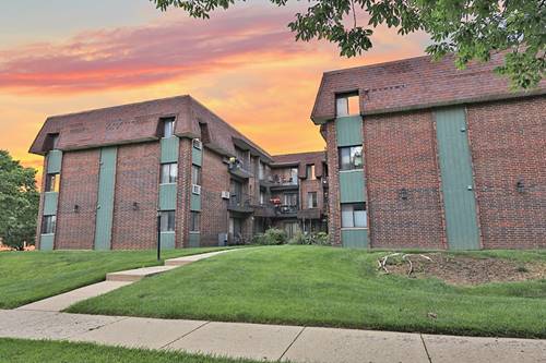 4946 Douglas Unit 202, Downers Grove, IL 60515