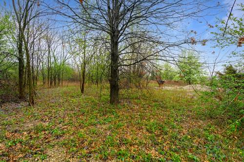 16045 W 139th, Homer Glen, IL 60491