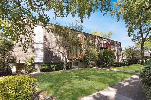 220 Madison Unit 3A, Joliet, IL 60435