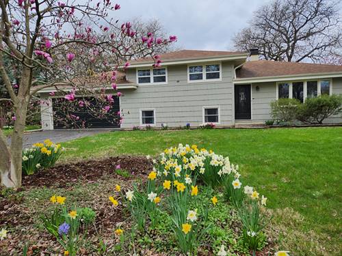 7516 Main, Darien, IL 60561