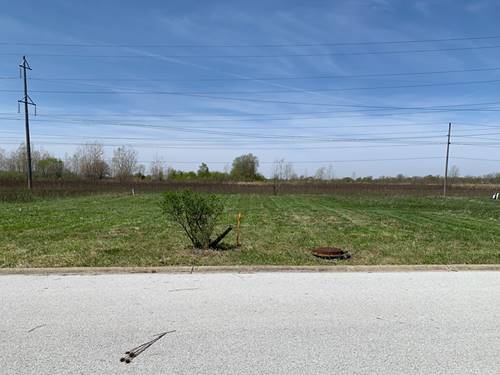 19700 Ambry, Lynwood, IL 60411