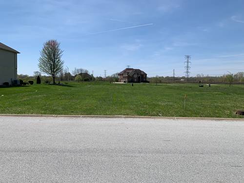 2065 Ambry, Lynwood, IL 60411