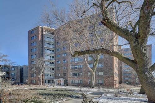 1132 W Lunt Unit 2D, Chicago, IL 60626