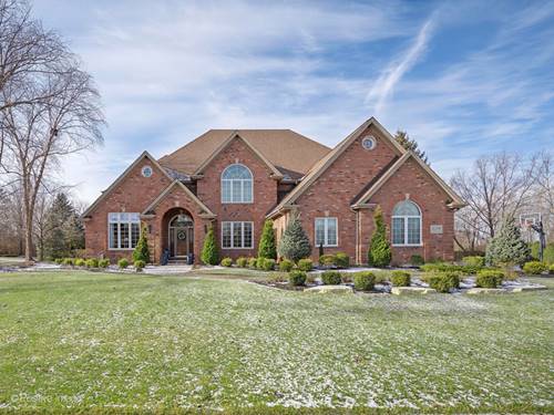 21356 Saddle, Mokena, IL 60448