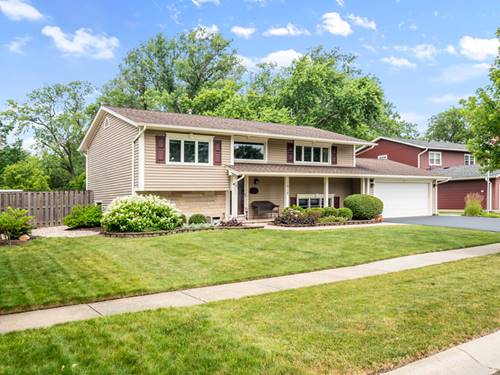 1012 Cheltenham, Elk Grove Village, IL 60007