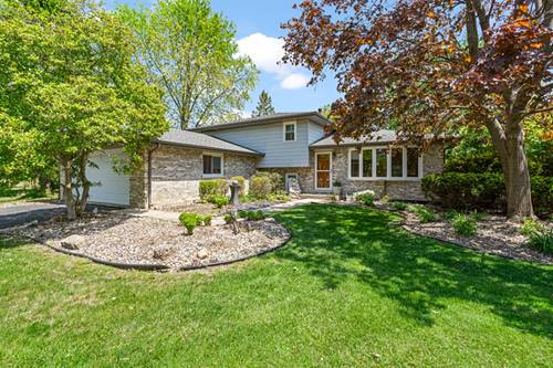 1004 Somerset Acres, New Lenox, IL 60451