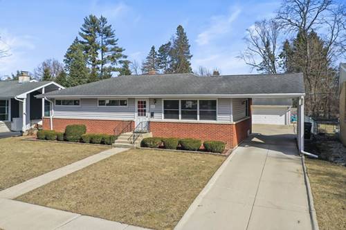 717 N Gibbons, Arlington Heights, IL 60004