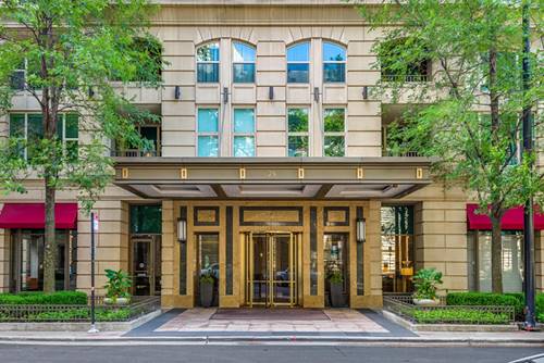 25 E Superior Unit 11D, Chicago, IL 60611