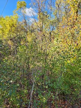 0S760 Cleveland, Winfield, IL 60190