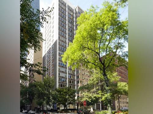 860 N Dewitt Unit 203, Chicago, IL 60611