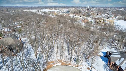 1931 Tessington, New Lenox, IL 60451