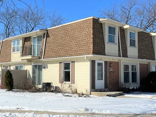 618 Newton Unit 618, Schaumburg, IL 60194