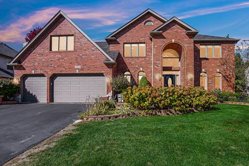 12830 Shenandoah, Plainfield, IL 60585