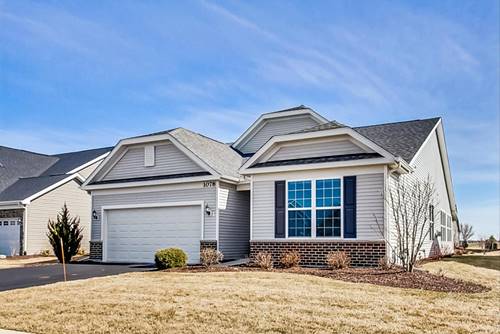 1078 Trevor, Bolingbrook, IL 60490