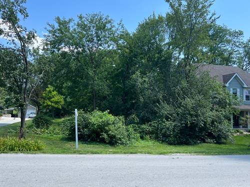 Lot 22 Sherman, Downers Grove, IL 60515
