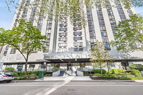 1221 N Dearborn Unit 609S, Chicago, IL 60610