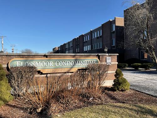 1117 Leavitt Unit 108, Flossmoor, IL 60422