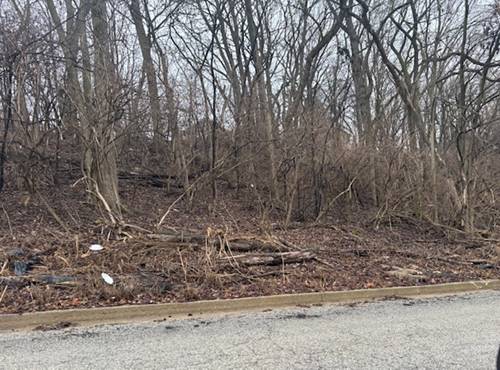 Lot 26, Block 1 Vacant N Fairview, Joliet, IL 60432