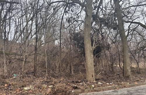 Lot 27, Block 1 Vacant N Fairview, Joliet, IL 60432