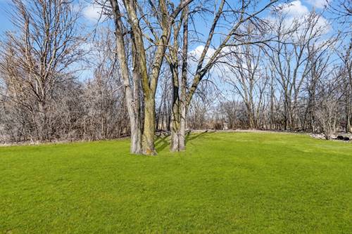 1822 Barthelone, Crest Hill, IL 60403