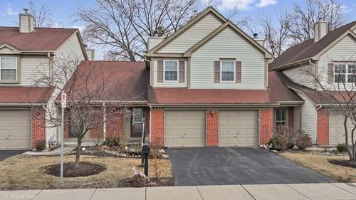 6413 Otto, Downers Grove, IL 60516