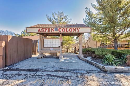 61 Aspen Colony Unit 2, Fox Lake, IL 60020