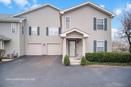 1143 Orleans Unit 0, Mundelein, IL 60060