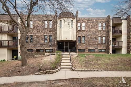 2025 Country Club Unit 13, Woodridge, IL 60517