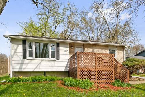 807 Blackhawk, University Park, IL 60484