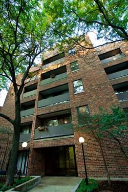 1720 N Halsted Unit 202, Chicago, IL 60614