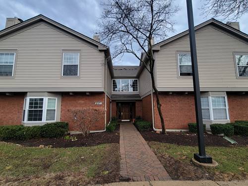 109 White Oak Unit 10, Schaumburg, IL 60195