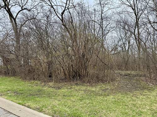 879 Campbell Avenue - Lot 006, Chicago Heights, IL 60411