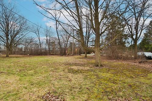 0 Prague, Buffalo Grove, IL 60089