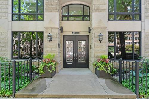 45 E Cedar Unit 200, Chicago, IL 60611