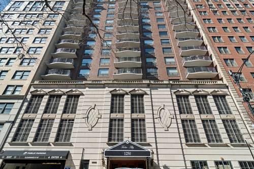 1250 N Dearborn Unit 20C, Chicago, IL 60610