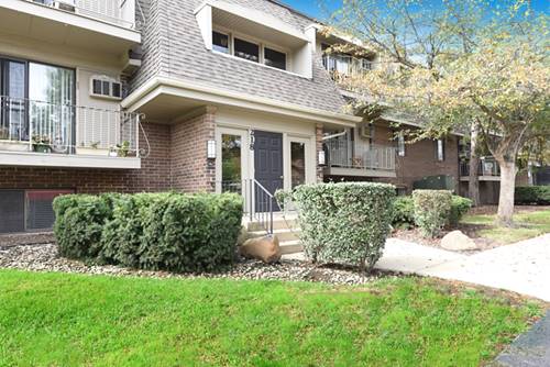 218 E Bailey Unit A, Naperville, IL 60565