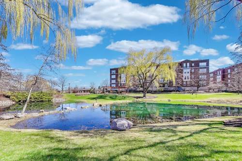 715 Astor Unit 307, Wheeling, IL 60090