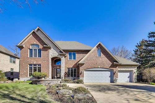 311 Felicia, Bloomingdale, IL 60108