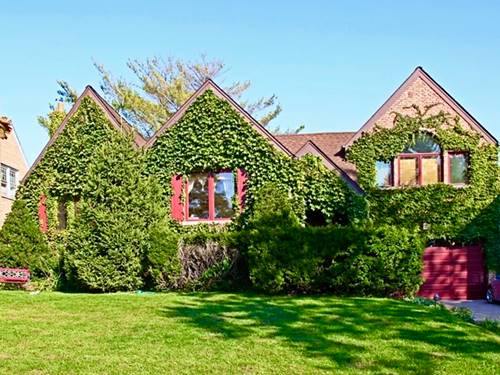 8209 N Oleander, Niles, IL 60714