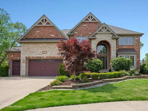 508 Gene Darfler, Naperville, IL 60565