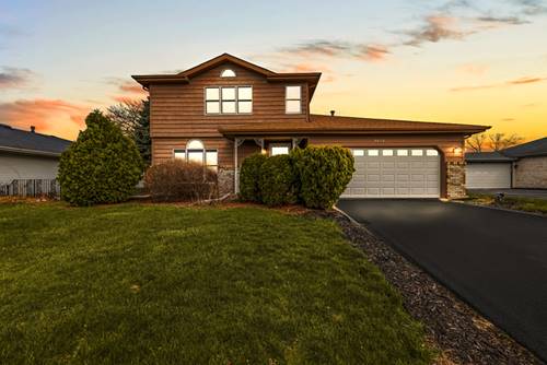20113 Lake Lynwood, Lynwood, IL 60411