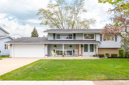 344 Dorchester, Elk Grove Village, IL 60007