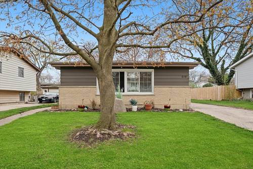 519 Chase, Park Forest, IL 60466